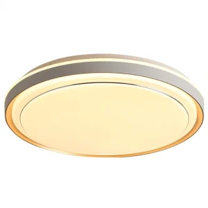 Iron AC LED Ceiling Lamp with Voice and App Control for Living Room, Bedroom, and Kitchen