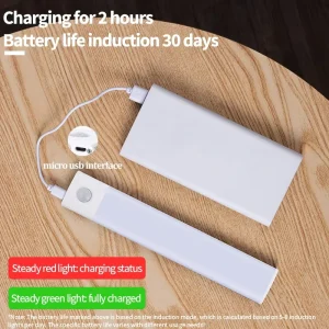 Kitchen LED Motion Sensor Cabinet Light with Magnetic Installation and Human Body Sensor