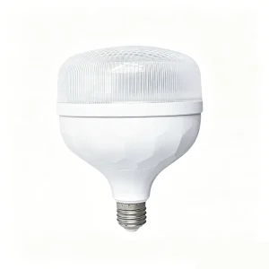 LED Bulb E27 B22 5W 10W 15W 20W 30W 40W 50W 60W for Home Lighting