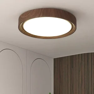 LED Ceiling Lamp IP65 AC Powered Acrylic Surface Mounted for Living Room