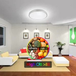 LED Ceiling Light 3 CCT Tunable 100%-10% Triac Dimming Flush Mount Lamp