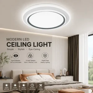 LED Ceiling Light 3-Color Dimmable for Villa Homestay Living Room Bedroom