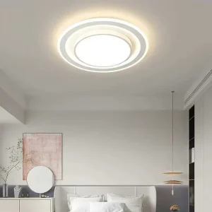 LED Ceiling Light Fixture Remote Dimming Lamp for Living Room Bedroom Dining Room Indoor Lighting OEM Custom Factory