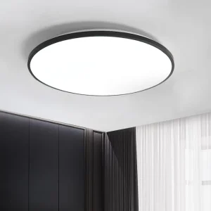 LED Ceiling Light Fixture for Home, Bedroom, and Hallway