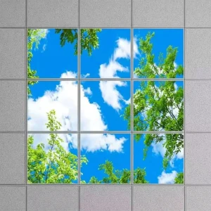 LED Decorative Panel Light, 40W, 595x595mm/600x600mm, Blue Sky and Birds Pattern, Classroom