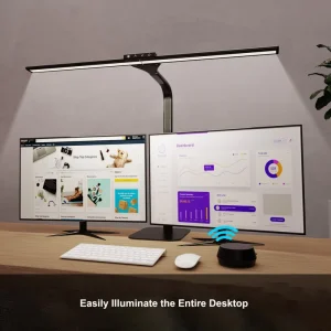 LED Desk Lamp Dual Gooseneck Clamp Lamp for Office Work and Bedrooms Eye Caring AC & Battery Powered Metal Reading Lamp