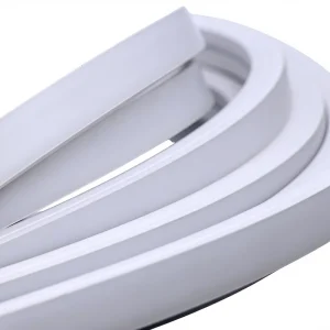 LED Flexible Neon Strip Full Color Soft Light Bar 12V IP20 Outdoor Pure Silicone Remote controlled Dimmable Magic Color