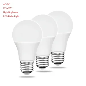 LED Lamp AC DC 12V 24V 36V 48V 60V Low Voltage Light Bulbs High Brightness for Construction Fishing Boats Battery Lighting