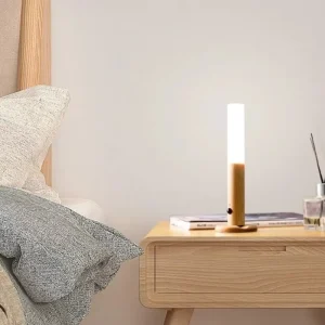 LED Night Light USB Charging Intelligent Human Induction for Bedside Cabinet Home Wardrobe Lighting Motion Sensor Light Led Lamp