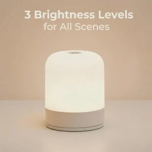 LED Rechargeable Night Light with Touch Control and Three Color Temperatures