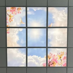 LED Skypanel Ceiling Light, 40W, 595x595mm, Blue Sky and White Clouds, Hospital/Classroom
