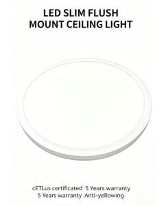 LED Slim Flush Mount Ceiling Light Modern Indoor Ceiling Lamp for Home Bedroom Living Room