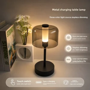 LED Table Lamp Desk Light with Adjustable Dimmer Touch Control USB Type C Recharge Ambient Lighting Bedside Bar Indoor Use