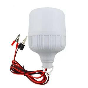 Led Bulb E27 B22 Low Voltage 12v 1.5m Wire and Clip