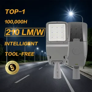 Long Life 100000 Hours AC Aluminum Alloy IP66 Tool Free Service LED Street Light for Rural Road and Village