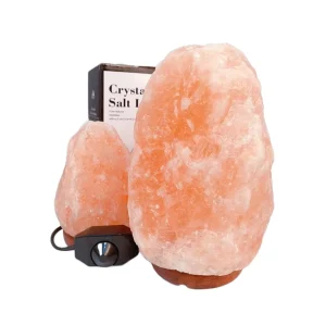 Low Price High Quality Pure Natural Form Household Decorative Crystal Exquisite Night Lamp Good for Health Himalayan Salt Lamp