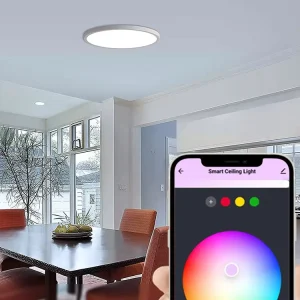 Luxury Nordic Color Changing Round Energy Saving Remote Control Anti glare Home Decor ABS Led Ceiling Light