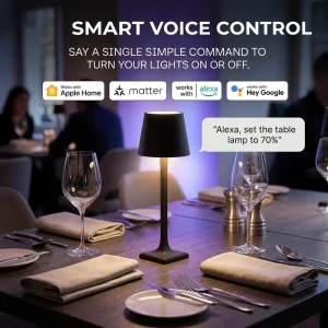 Luxury Restaurant Rechargeable App Control RGB Matter Smart LED Table Lamp Work with Apple Home Alexa Google Home SmartThings