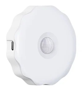 Magnet Creative Smart Human Body Sensor Light Household LED Lamp Bedroom Wardrobe Toilet Lamp Hallway Usb Charging Night Light