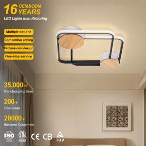 Manufacturers LED Ceiling Light for Living Room Bedroom Home