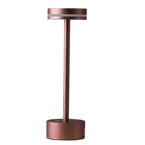 Metal Table Lamp Bedroom Bedside USB Charged Decorative Small Night Light Ambient Lighting Lamp