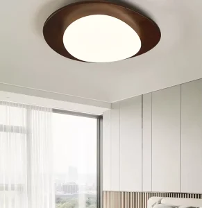 Minimalist LED Ceiling Light Nordic Creative Custom Lighting for Bedroom Dining Room Study Iron Home Fixture