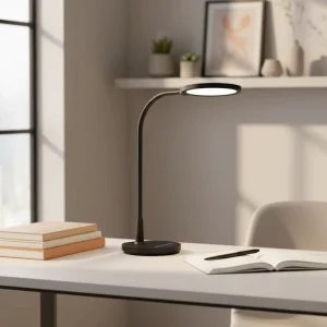Minimalist LED Desk Lamp with Flexible Gooseneck, Touch Control, Flicker-Free Light for Study & Work