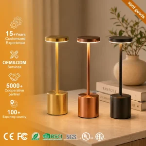 Minimally Designed Small Desk Lamp Cordless Rechargeable Touch Metal Bedside Led Table Lamp