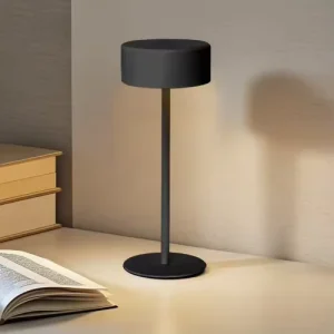 Modern 2W DC5V Desk Lamp with Dimmable Rechargeable C Type for Home and Office Use