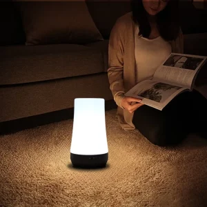 Modern 5 Color Change Remote Touch Control Night Light Adjustable Colors Dimmable LED Timer Long-Lasting Rechargeable Battery