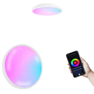 Modern AC 220V 24W Smart WiFi App Remote Control RGB LED Ceiling Lamp with 2 Year Warranty and 50000 Hours Lifespan for Bedroom