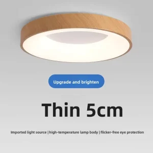 Modern AC Metal LED Master Bedroom Ceiling Light with Voice Control Ultra Thin Room Lighting