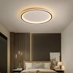 Modern Acrylic 40cm 60cm 80cm 100cm LED Ceiling Light Surface Mounted for Indoor Home Hotel Villa Bedroom Living Room Decor