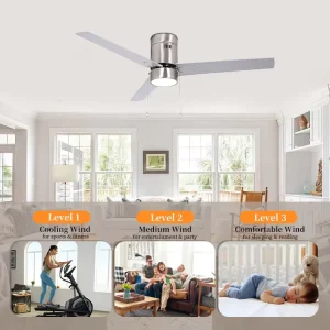 Modern Ceiling Fan Light