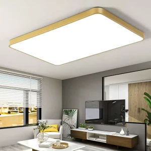 Modern Ceiling Light for Entry Corridor Dining Room