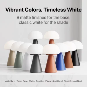 Modern Cordless Mini Mushroom Touch Table Lamp Li ion Battery Six Matte Finishes Stepless 10-100% Dimming Dual Color Temperature