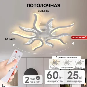 Modern Design Nordic Creative Home Bedroom Living Room Decoration Acrylic Dimmable Intelligent Remote Control Led Ceiling Light