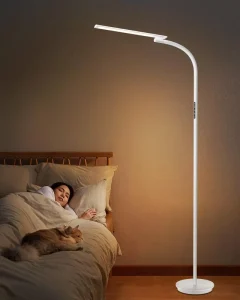 Modern Dimmable LED Floor Lamp with Touch Remote Control 5 Color Modes Timer Function for Living Room