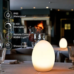 Modern Egg Shaped LED Desk Bedside Lamp IP65 USB Rechargeable with Remote Control Dimmable for Home Night Lighting