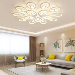 Modern Elliptical Design Remote Control Metal Acrylic Ceiling Light Minimalist Nordic Bedroom Living Room Ceiling Lamps