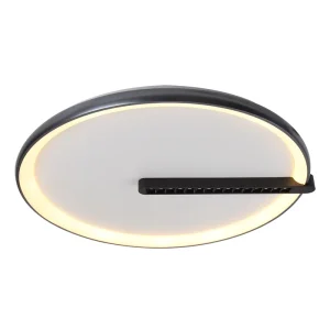 Modern Indoor LED Ceiling Lamp for Bedroom Living Room