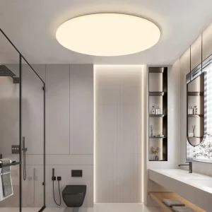 Modern LED AC Metal Ceiling Light Surface Mounted for Indoor Use IP54 2700K-6500K 25000 Hours