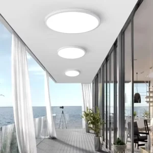 Modern LED Ceiling Light with Flower Design for Living Room Study Bedroom