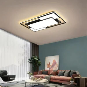 Modern LED Fixtures for Living Room Bedroom Dining Room 110 220v Black Chandelier Ceiling Lamp Fixtures Home Ceiling Lights