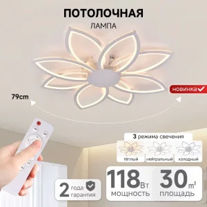 Modern Leaf-Shaped LED Ceiling Light with Remote Control for Dining Room and Living Room