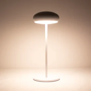Modern Luxury Cordless LED Table Lamp Rechargeable Touch Wireless Design for Living Room Hotel Wedding Desk Lighting DC