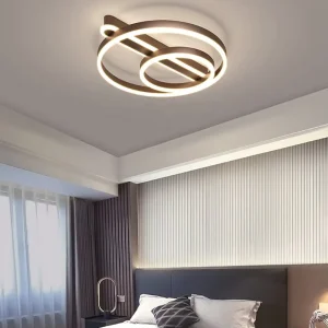 Modern Luxury LED Ceiling Light Remote Control Universal Voltage Surface Mounted 1 Year Warranty Home