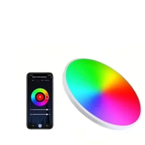 Modern Minimalist RGB Smart LED Ceiling Light with APP Control