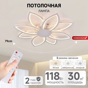 Modern Minimalist Simple Leaves Shape Ceiling Lamp Dining Room Living Room Led Ceiling Light with Remote Control