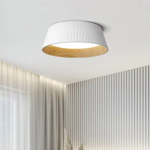 Modern Nordic Simple Iron LED Ceiling Lamp MY9751 for Dining Room Living Room Study Bedroom